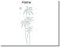 Preview: Duschfolie Palme mit filigranem Tropenmotiv auf einer Glasdusche für modernen Sichtschutz und eine entspannte Atmosphäre im Bad.