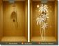 Preview: Glasdekorfolie Palme mit vier schlanken Palmen und Sonnenmotiv als dekorativer Sichtschutz für eine Glasdusche nach Maß.