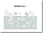 Preview: Milchglasfolie Wildblumen - Fensterfolie