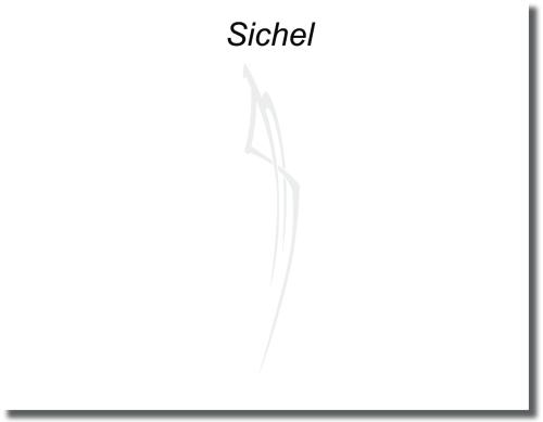 Sichtschutzfolie für Glastüren mit schmalem Sichelmotiv und geschwungenen Linien, die vertikal über die transparente Glasfläche verlaufen