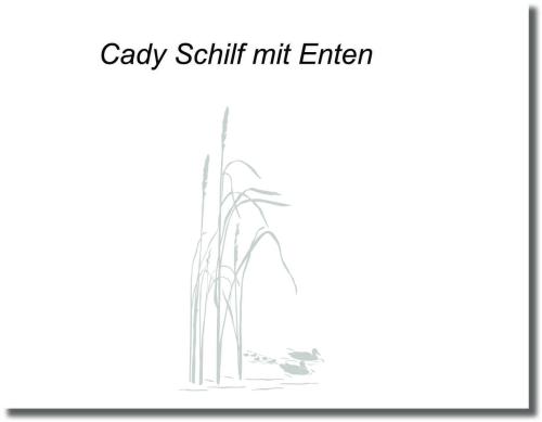 Preview: Duschdekorfolie Glasdekorfolie Sichtschutzfolie Dusche Entenfamilie im Schilf
