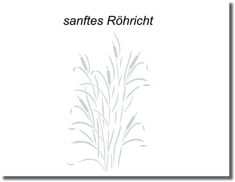 glasdekorfolie sanftes Röhricht Schilf