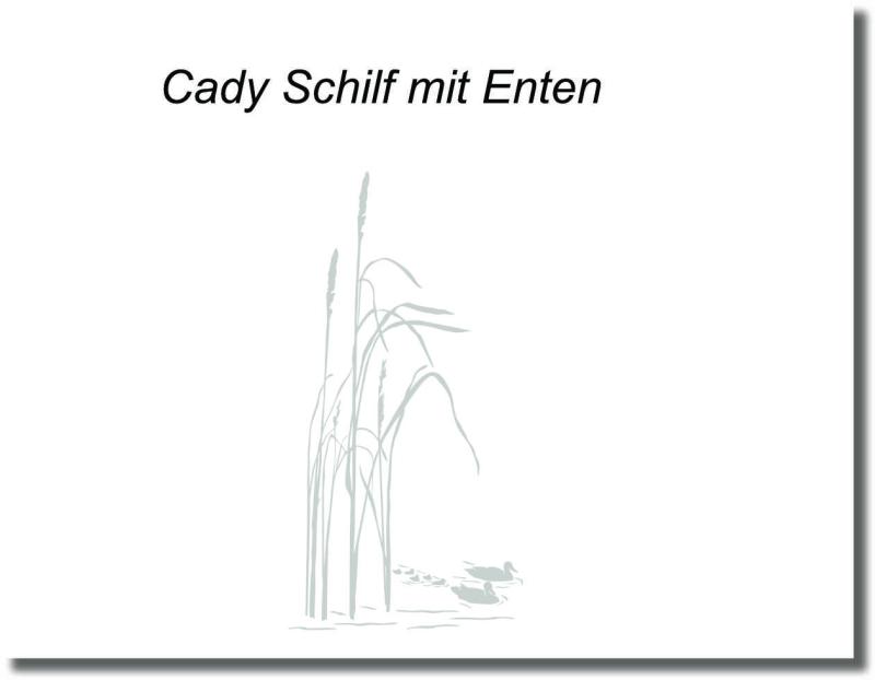Glasdekorfolie Cady Schilf mit Enten für eine Glasdusche nach Maß mit filigranem Schilf und dezenten Wasservögeln als Sichtschutz.