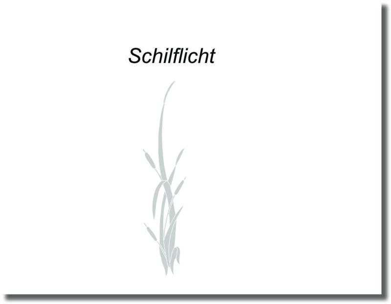 Glasdekorfolie Schilflicht mit schlanken Pflanzenmotiven als dezenter Sichtschutz für Glasduschen und Duschabtrennungen.
