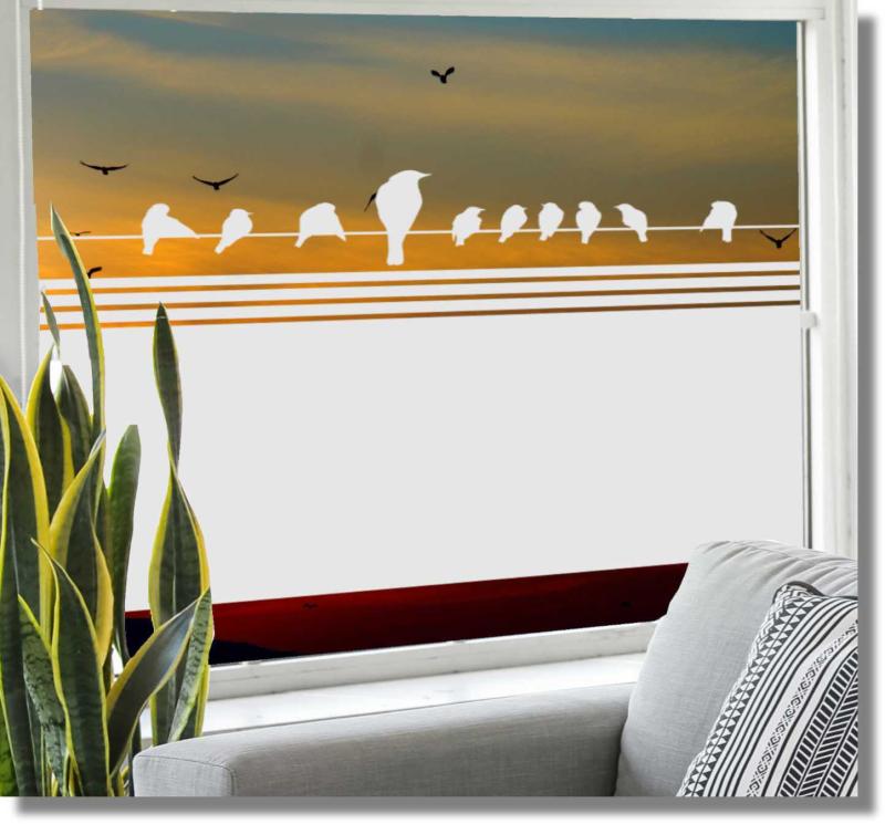 Sichtschutzfolie sitzende Vögel Fensterdekorfolie